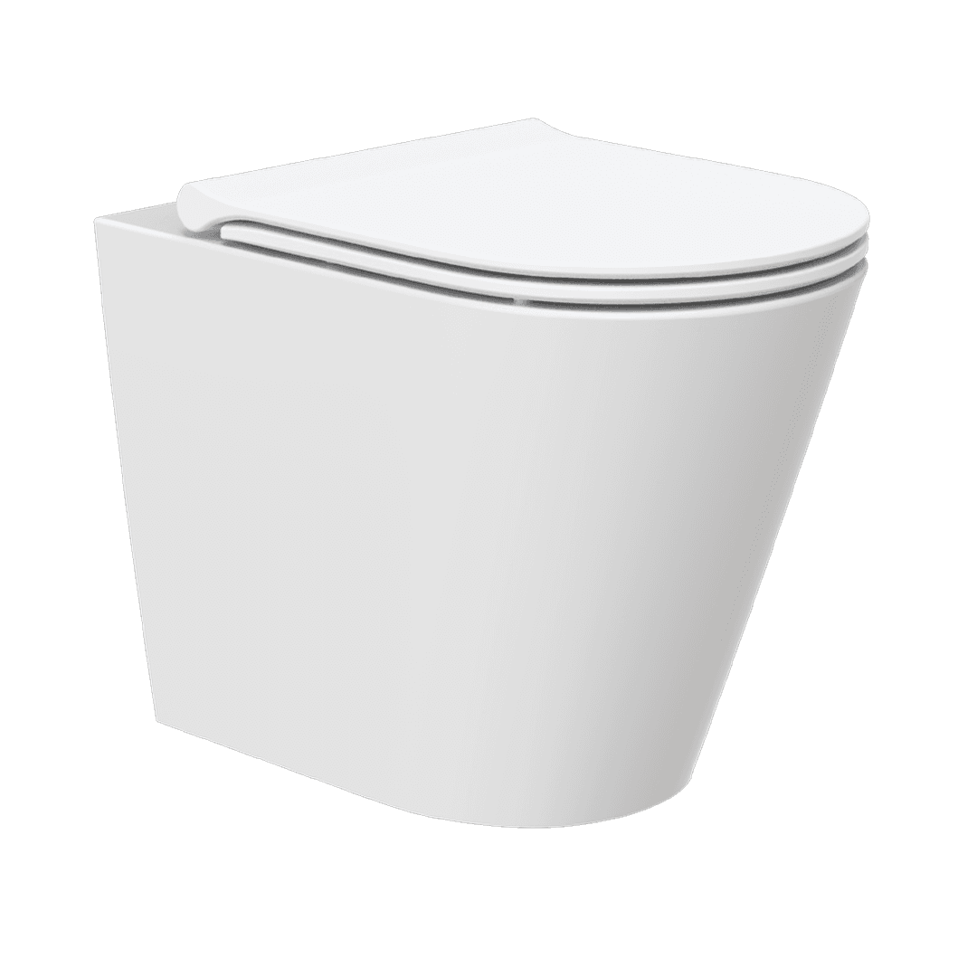 Floor-standing Toilet